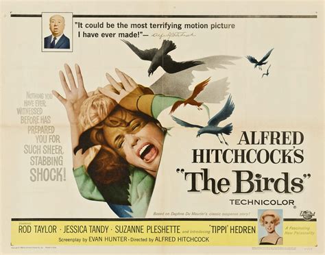 The Birds! Un Film di Alfred Hitchcock che Esplora il Terrore dell'Inconosciuto e la Fragilità della Civiltà